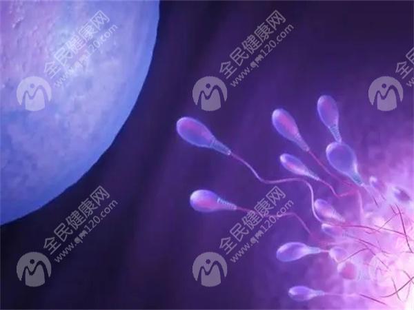 南宁三代试管价格大概是多少钱？节省试管费用方法如下