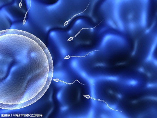 杭州比较大的助孕机构,附医院名单!