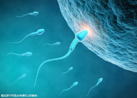 2024北京正规试管婴儿机构联系方式