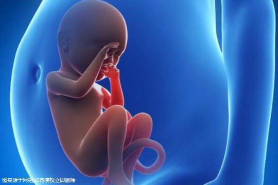试管婴儿通过什么生殖-试管婴儿是利用什么技术
