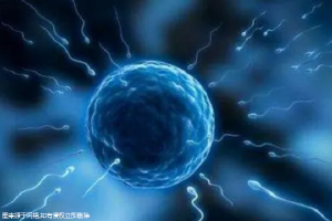 死精症做试管婴儿能不能成功？