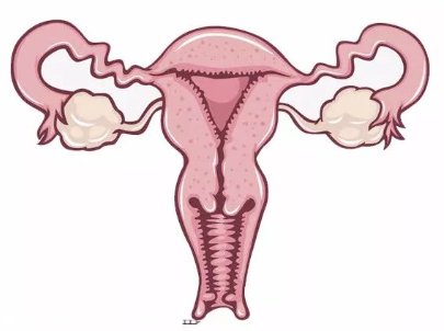 宫腔回声不均匀可以试管吗 宫腔回声不均匀可以试管吗会怀孕吗