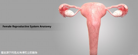 试管胎停需要做胚胎检查吗？试管胎停育后必做检查项目