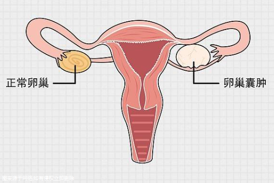 卵巢功能衰退能做三代试管吗-女性卵巢功能衰退能做三代试管吗