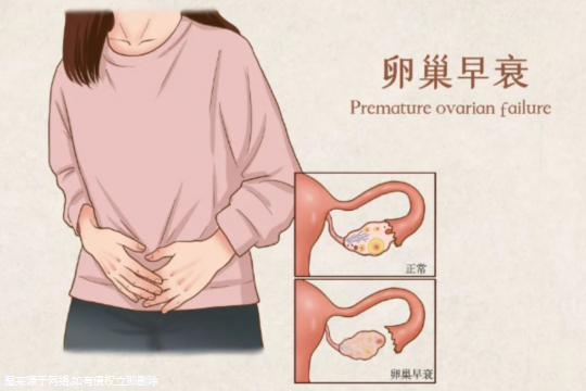 子宫腺肌症做试管顺序是什么？子宫腺肌症试管成功案例