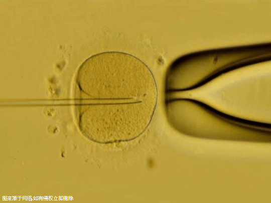 杭州试管婴儿私立医院排名比较好的？能不能做第三代试管