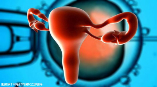 试管婴儿的胚胎是几周？试管婴儿胚胎多大？
