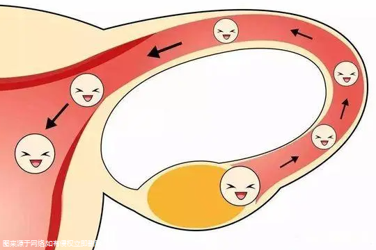 积水可以做试管婴儿吗？输卵管积水可以做试管婴儿吗？