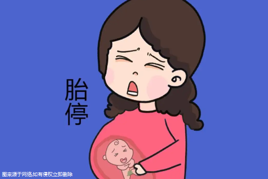 甲减试管会容易胎停吗？甲减试管婴儿成功案例