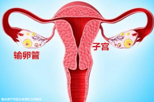 子宫粘连影响试管吗 女性子宫粘连影响试管吗