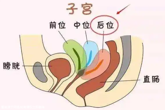 试管促排卵管插宫颈吗？试管促排卵管插宫颈吗要多久？