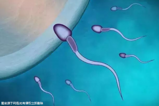天津市中心妇产科医院有没有精子医院？