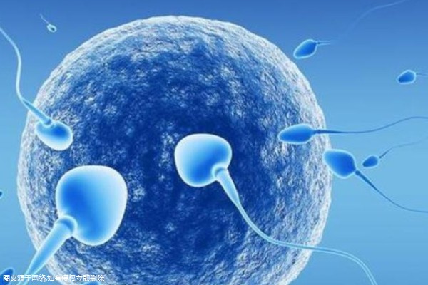广州是否有提助孕母细胞给予的医院？