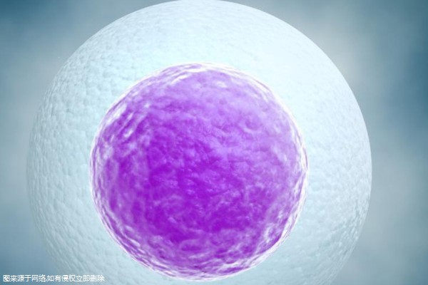 三代试管囊胚的筛选成功率高不高？