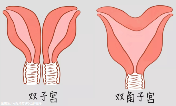 卵巢功能不好试管不成功？卵巢功能不好试管婴儿的成功率？