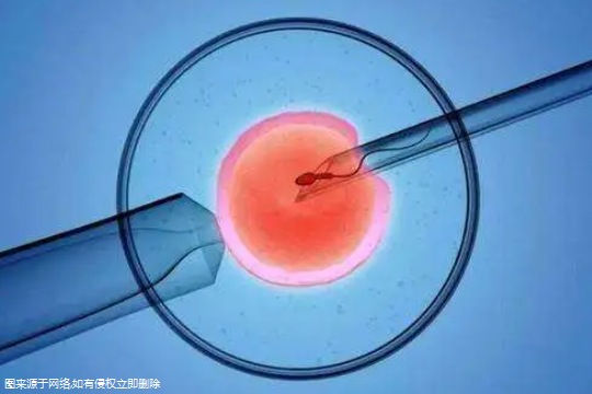 输卵管堵塞能否做试管？输卵管堵塞能否做试管手术？