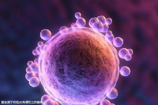 男方多囊肾做3代试管 多囊肾试管婴儿哪里可以做