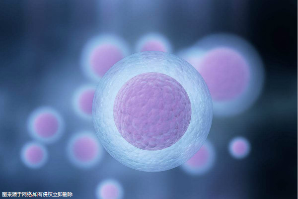 促排卵前要吃什么抗生素？