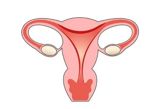 做试管怎么看卵巢功能？试管卵巢功能好定什么方案？