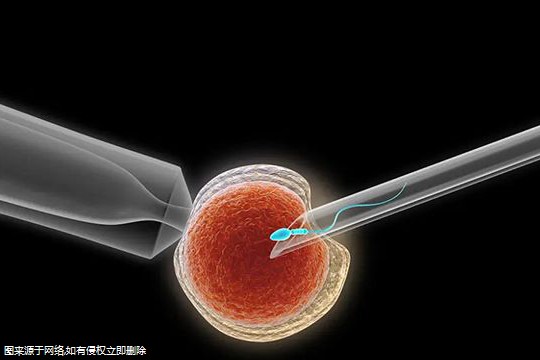 基因问题做试管婴儿报销吗？基因问题做试管婴儿可以吗？