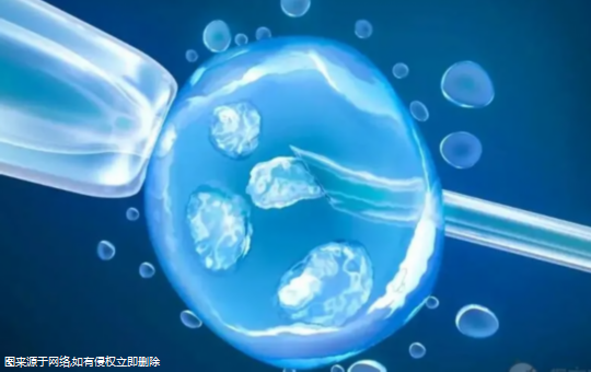 上海试管医院助孕生子的费用是多少？