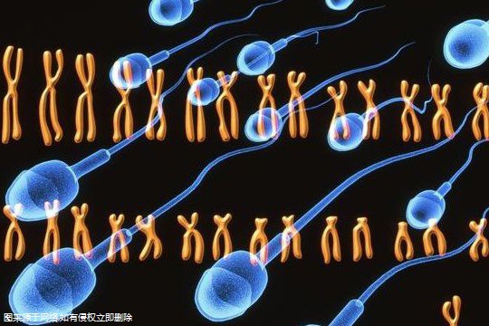 杭州专业助孕机构,附试管医院名单