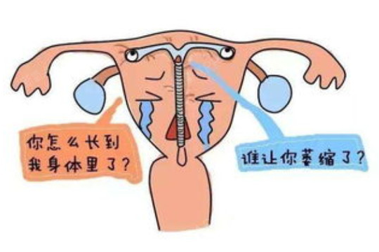 女性结扎了可以试管么，女性结扎了能做试管吗