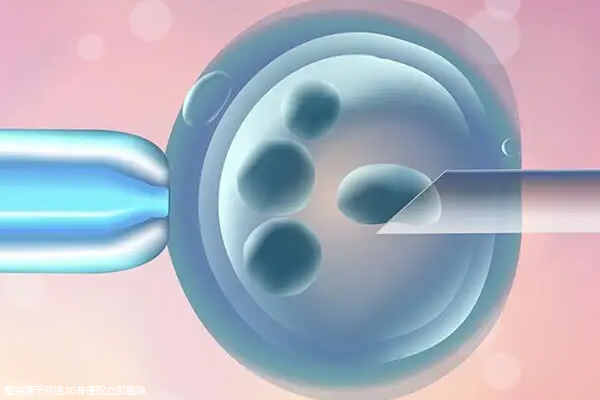 缺少蛋白质会不会影响胚胎着床？