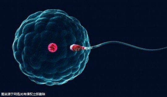 2024上海第三代试管助孕生子医院排名？