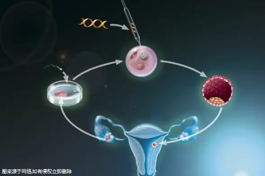 卵巢囊肿多久后试管移植 卵巢囊肿多久后试管移植成功