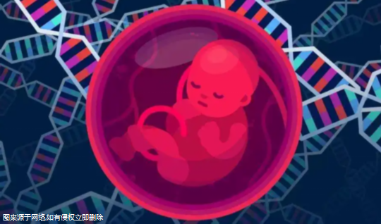 徐州三代试管婴儿私人生孩子医院排名榜揭晓