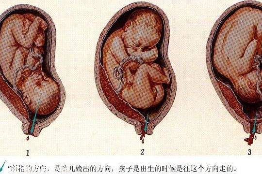 2024年徐州第三代试管婴儿生子私立医院比较新排名