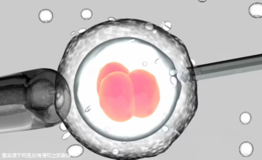 济南三代试管6个囊胚送检 济南三代试管6个囊胚送检流程