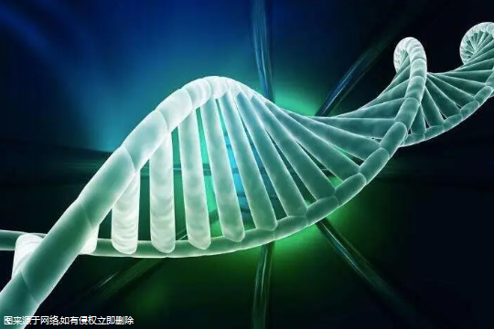 宫腔憩室积液试管婴儿移植能否成功？