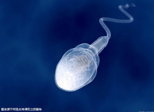 永州三代试管只有一个囊胚 三代试管就一个胚囊