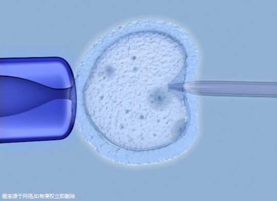 云南专业助孕机构,附医院比较新排名