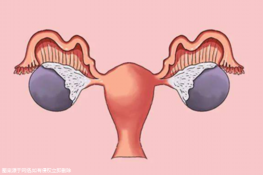 卵管堵塞能试管么吗？卵管堵塞能试管么吗？