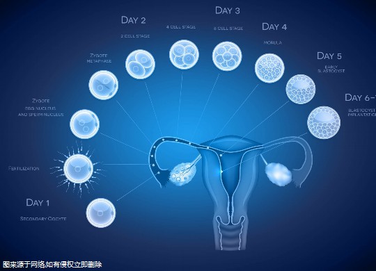 治疗女性不排卵的4大中医偏方分享，中医治疗女性不排卵4大偏方分享！