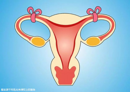 不切除输卵管做试管是否会宫外孕 输卵管没切完可以自然怀孕吗