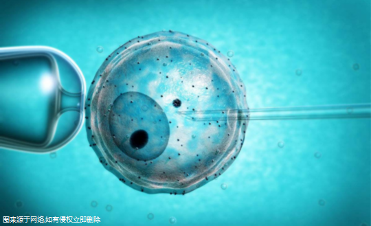 湛江三代试管机构预约流程，附最新生殖机构排名榜单