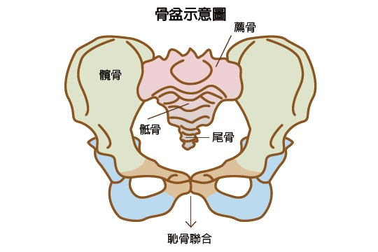 做试管有检查宫颈吗 做试管婴儿要检查宫颈癌吗