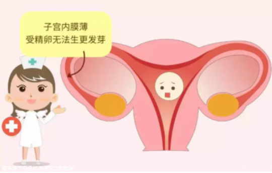 广东试管助孕私立医院？