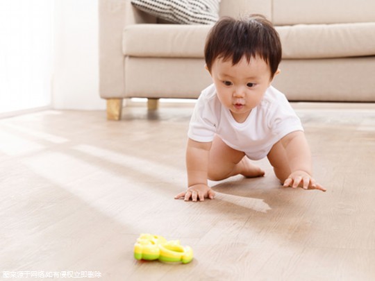 孕妇可以每天吃虾吗-孕妇可以吃小河虾吗晚期