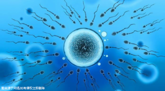 分享在南京做三代试管婴儿的经历