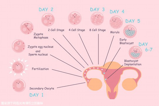 昆明助孕：昆明比较大的助孕机构