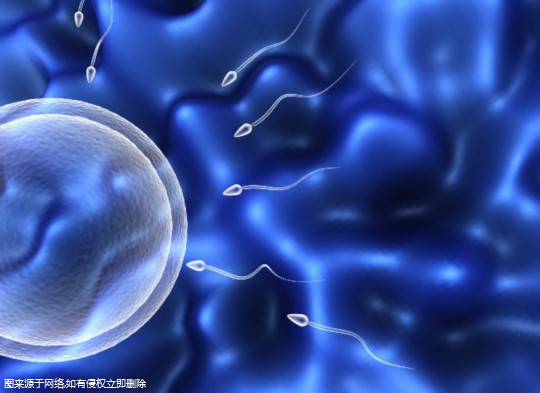 上海三大助孕机构是哪三家,需要准备多少钱？