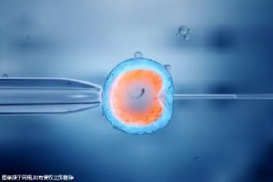 试管能查出精子碎片吗？