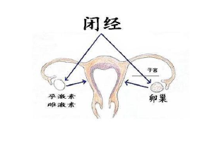 经期不规律怎么办？