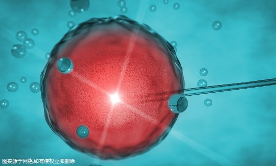 广州比较好的生殖医院成功率排名