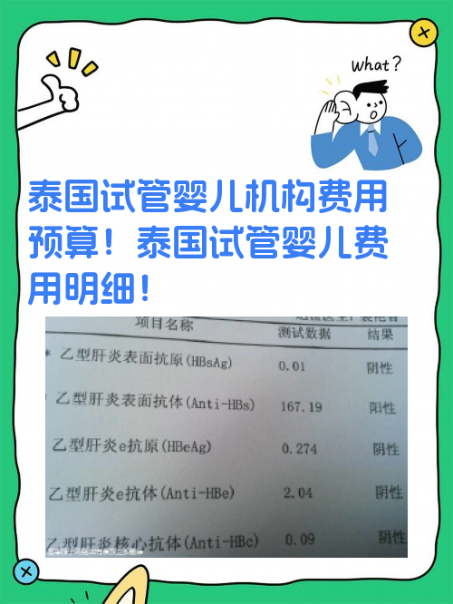 泰国试管婴儿机构费用预算！泰国试管婴儿费用明细！